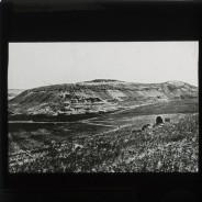 Böhl glass slide 61.1/1618